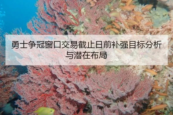 勇士争冠窗口交易截止日前补强目标分析与潜在布局